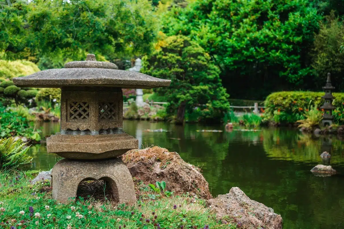 jardin japonais