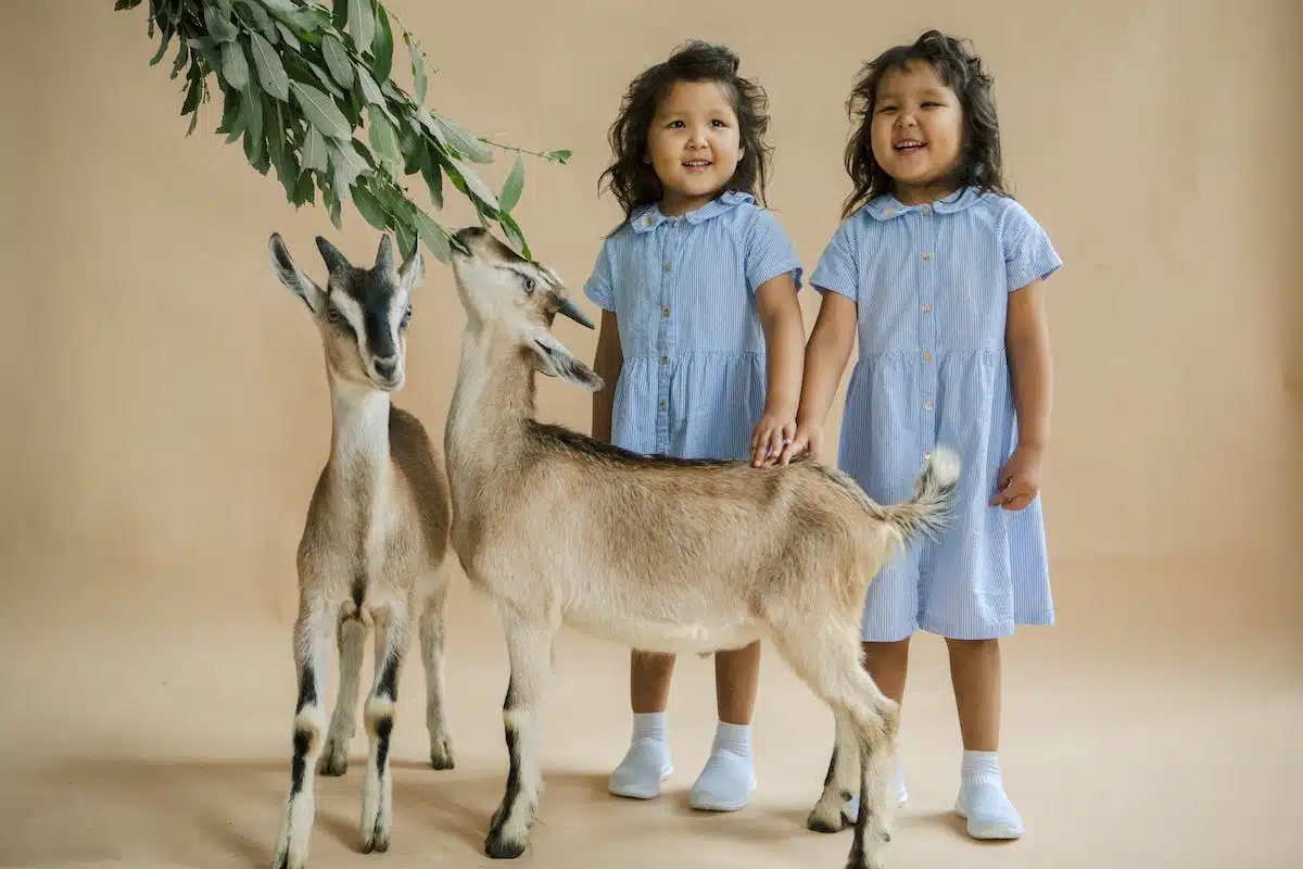 enfants  animaux